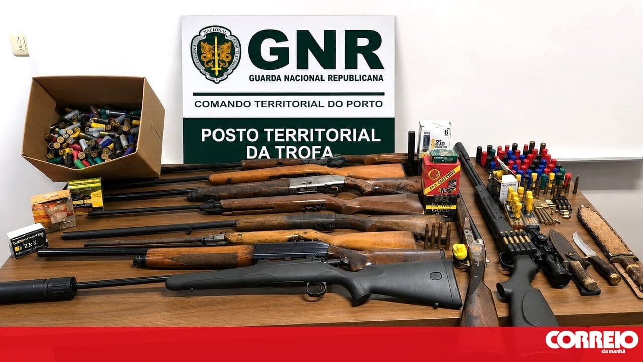 Ten firearms seized in Trofa in a domestic violence context