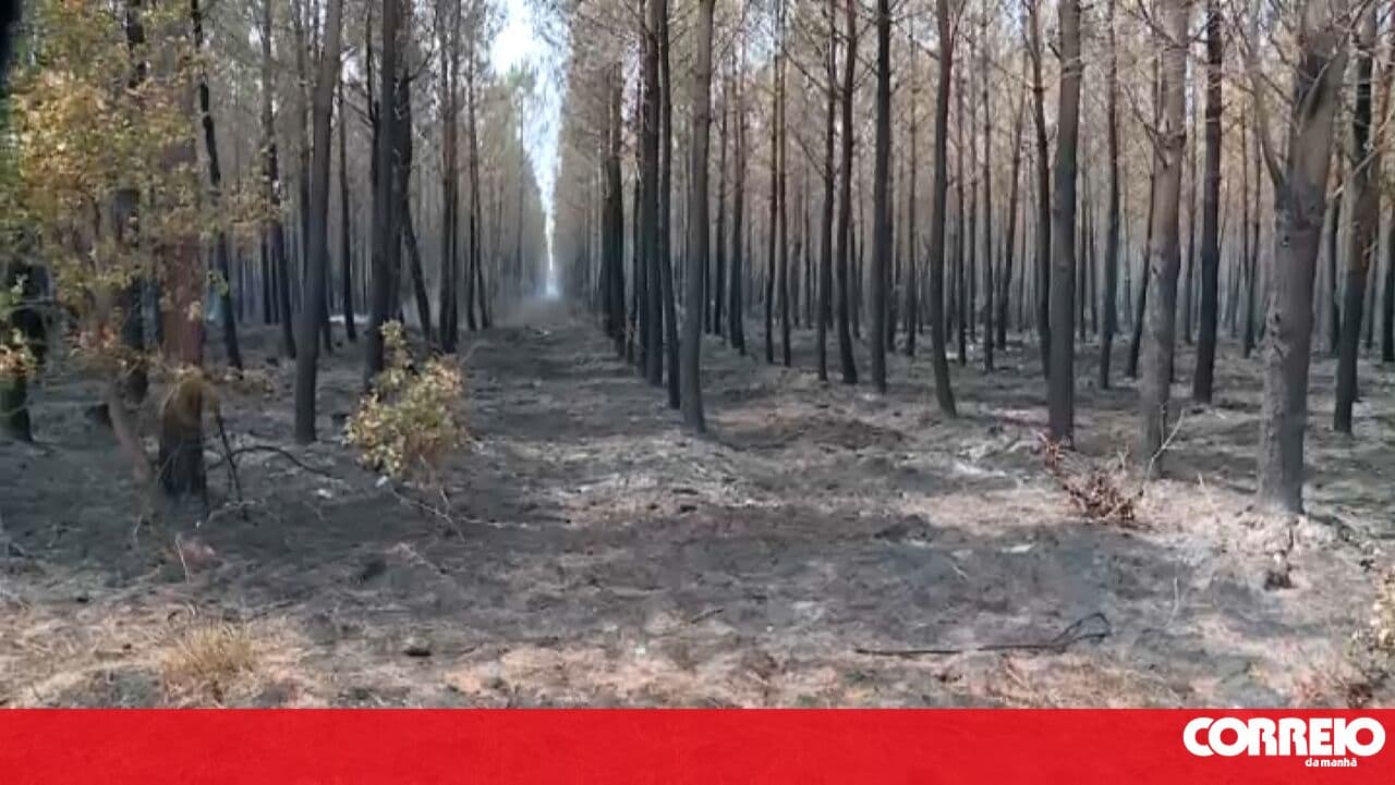 Fire in Ponte de Lima in the mop-up phase