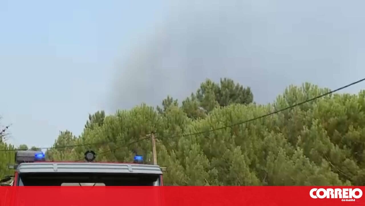 Fire in Almeirim has entered the resolution phase