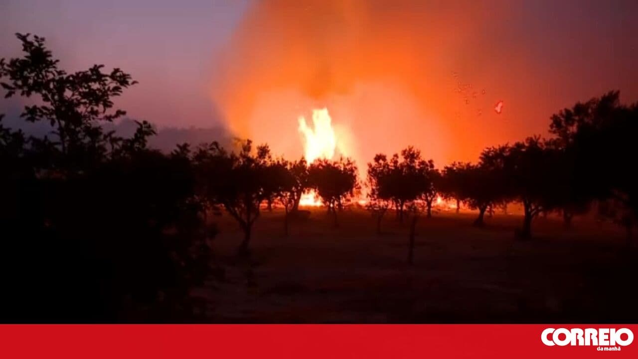 Forest fire in Valpaços mobilises more than 400 personnel