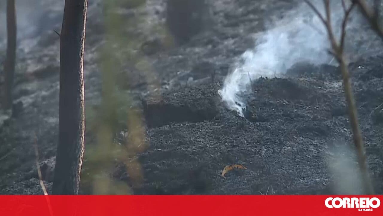Fire in Vila Verde fought by 180 personnel. Two people injured