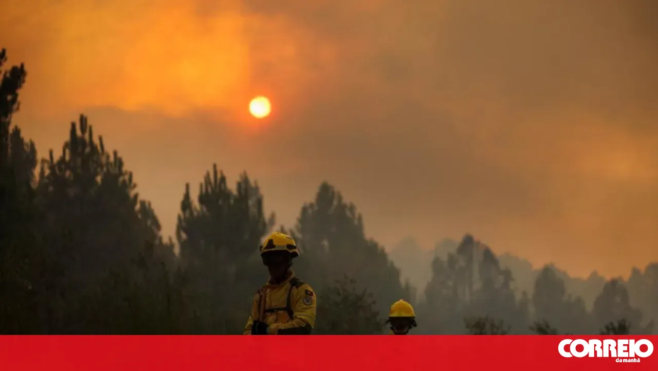 Around 2,000 hectares of vineyards and olive groves burned in the municipalities of Mirandela and Vinhais