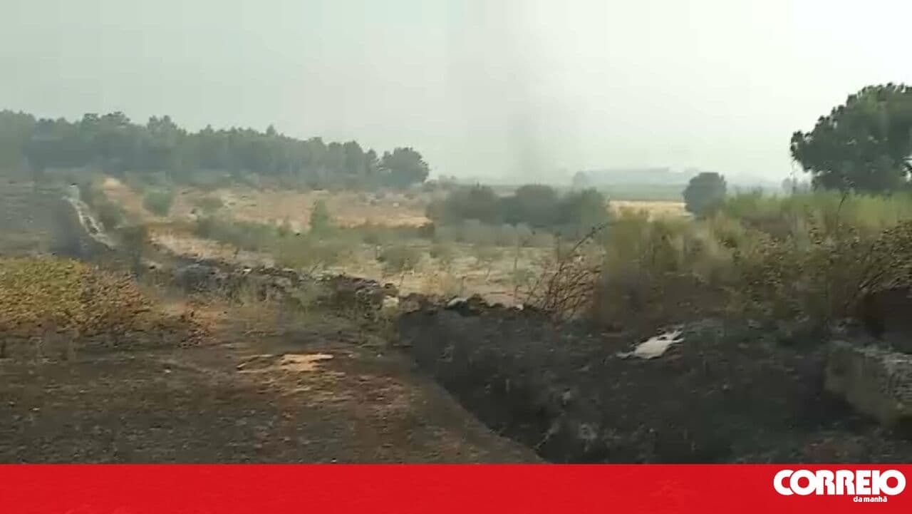 Five injured and at least 21 homes affected by fires in Mirandela