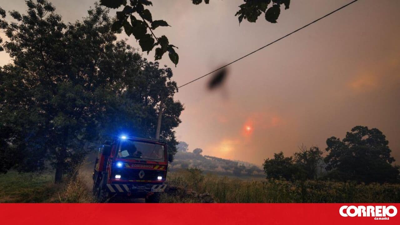 I saw hell near me: Fire surrounded villages in Valpaços and affected the grape harvest and olive campaign