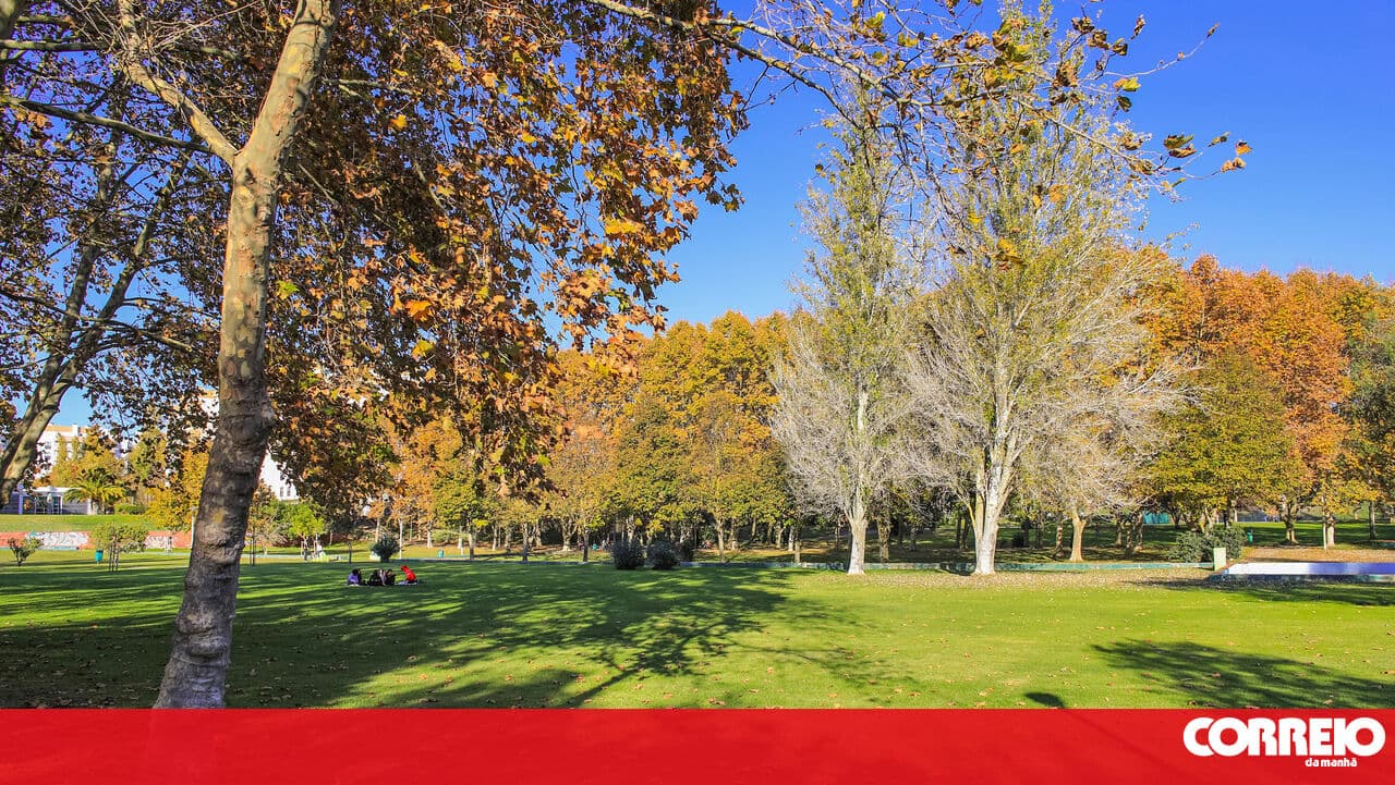 Music invades Setúbal's gardens on Saturdays in August