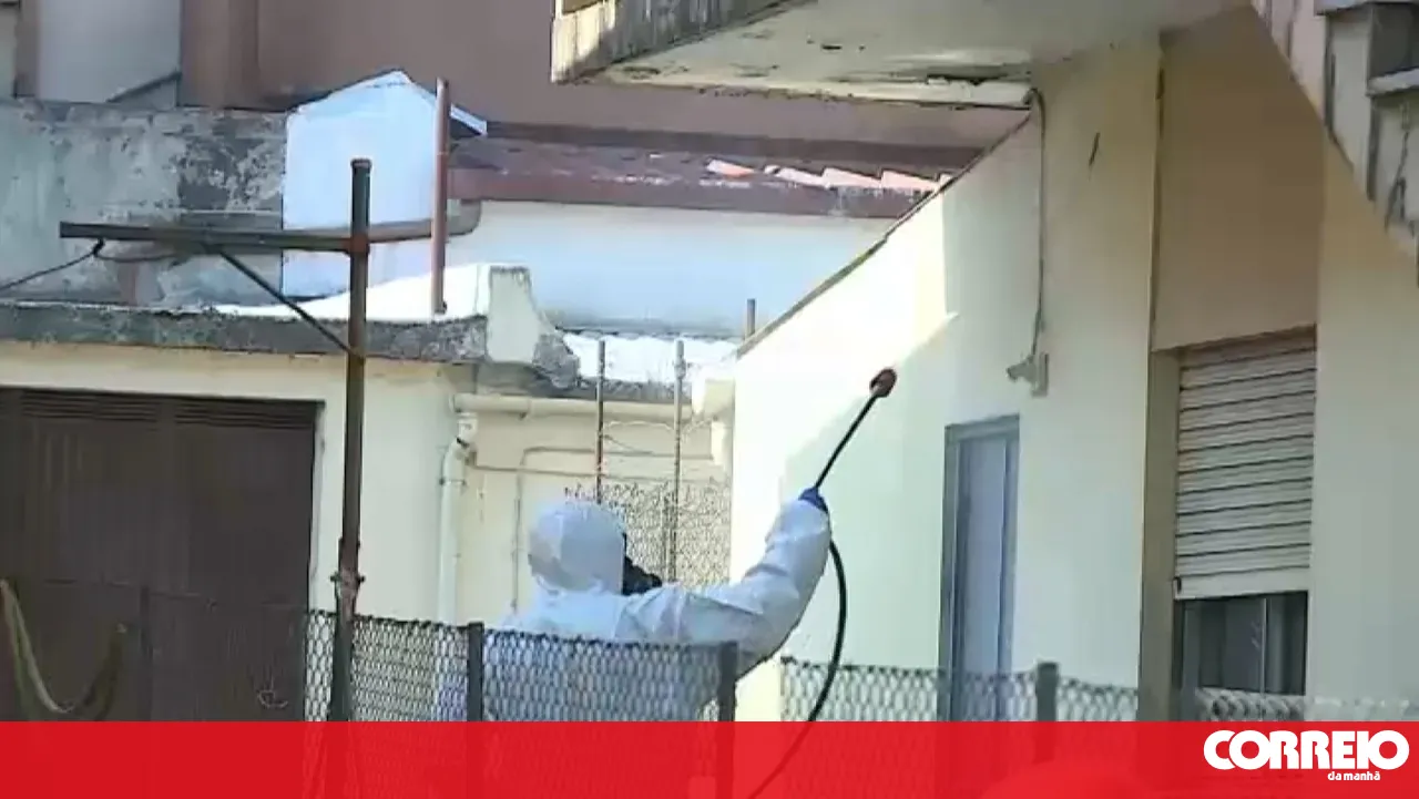 Housing in Maia disinfected after Public Prosecutor forces elderly woman to open door