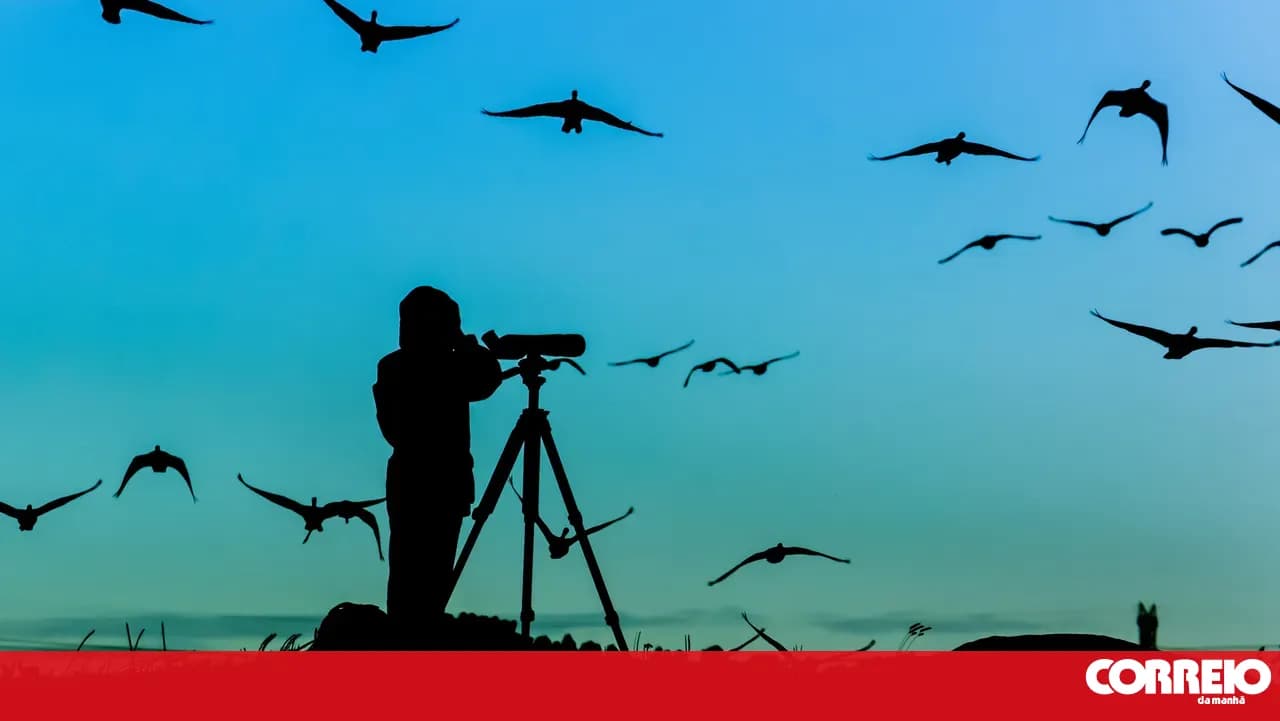 Bragança observes impact of eclipse on animals