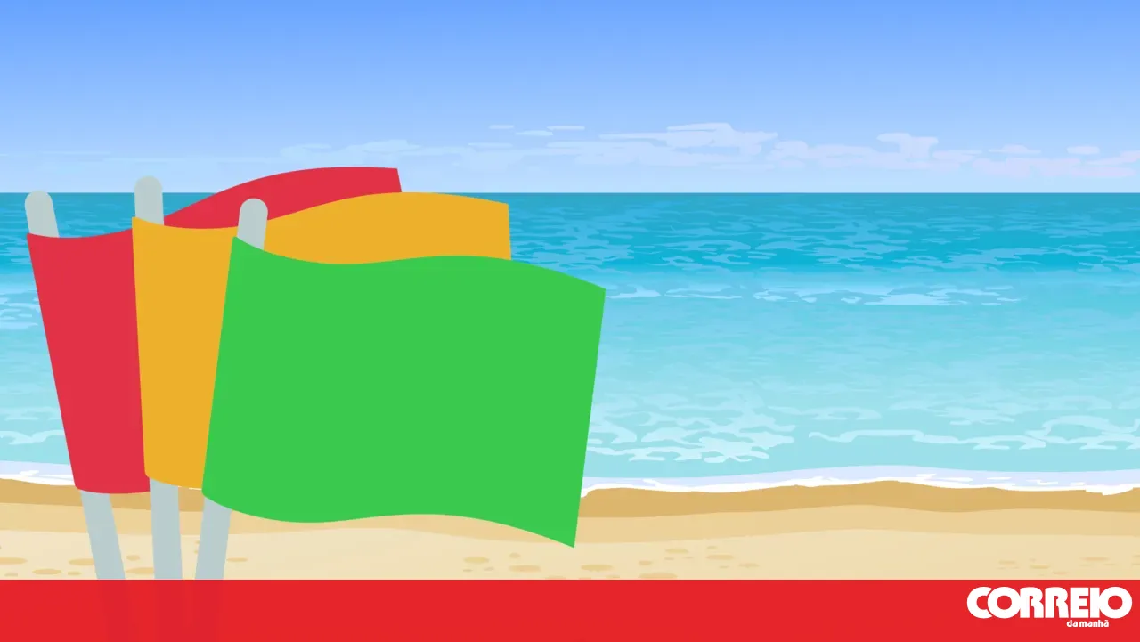 Do you know what the flags you find on the beach mean?