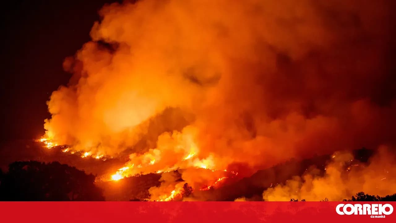 Five firefighters injured in Vinhais fire