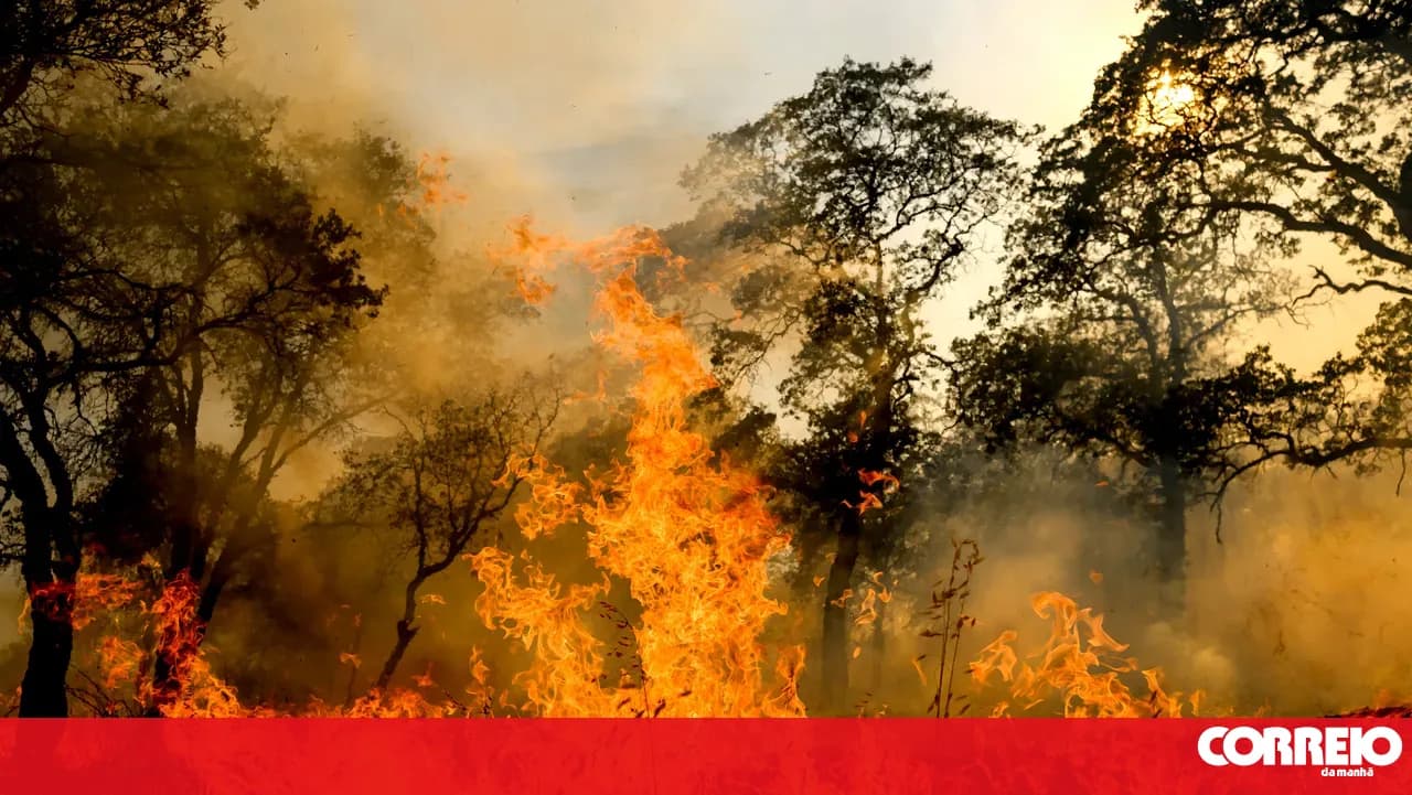 Firefighting efforts in Torre de Moncorvo are "progressing favourably"