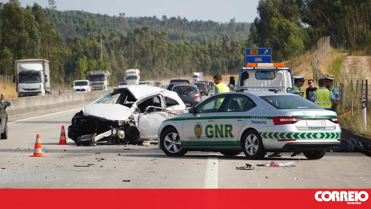 Driver dies after car goes off road and rolls over on the A13 in Tomar