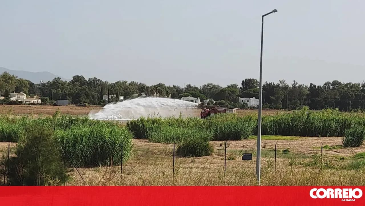 Pilot dies in light aircraft crash at Portimão Airfield