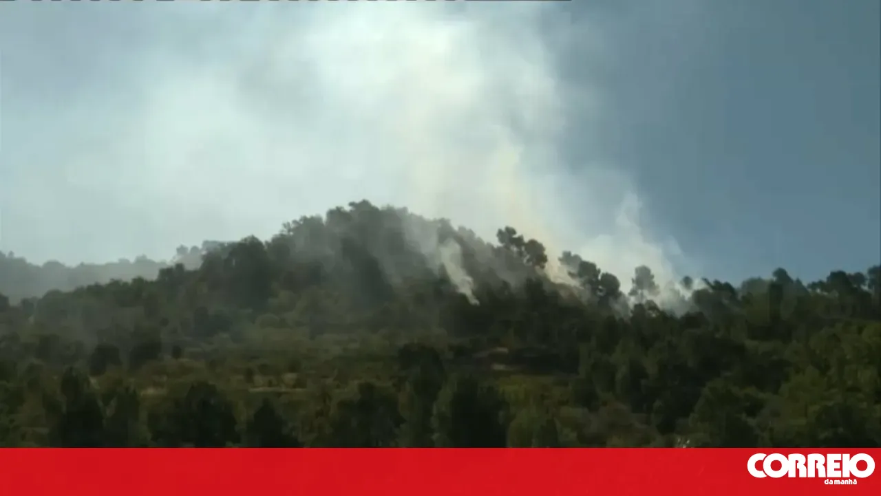 Two fires in Carrazeda de Ansiães mobilise 330 personnel
