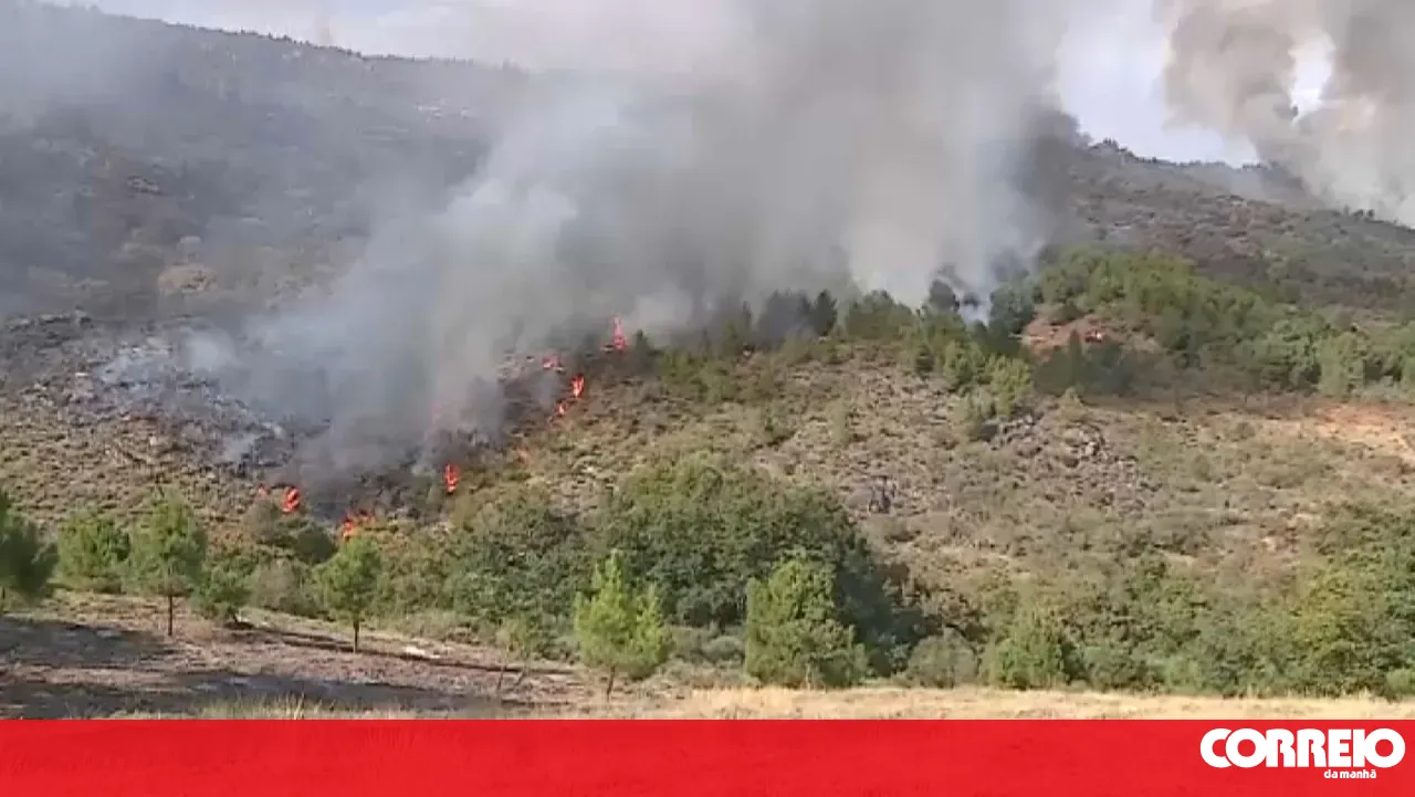 Eight tonnes of animal feed distributed to producers affected by fires in Boticas