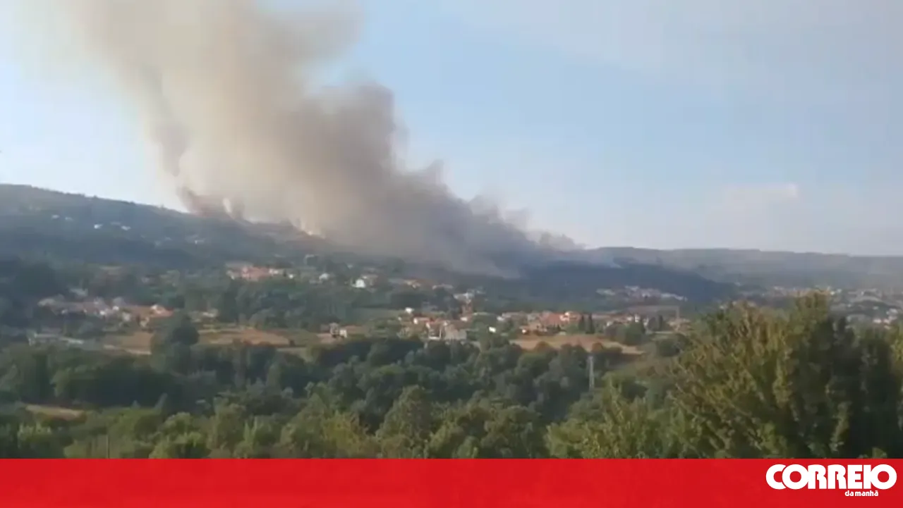 Fire in Lamego brought under control overnight