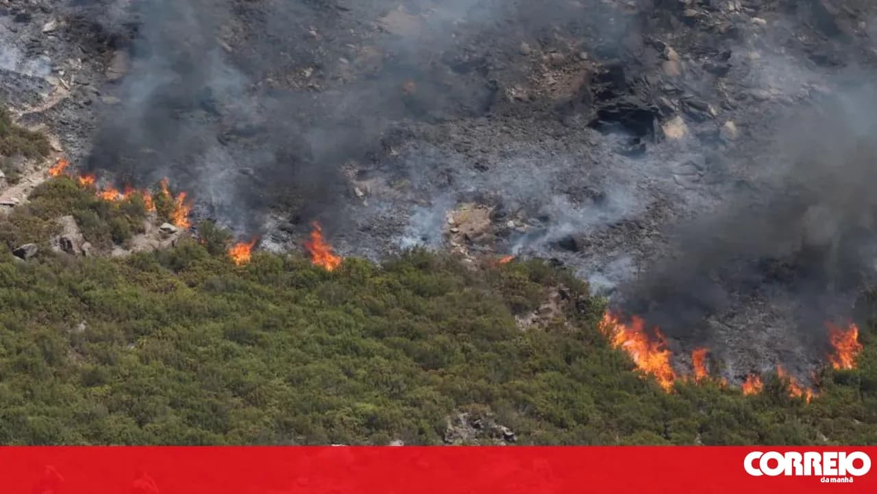 Firefighters injured in Arouca who remain hospitalised are improving