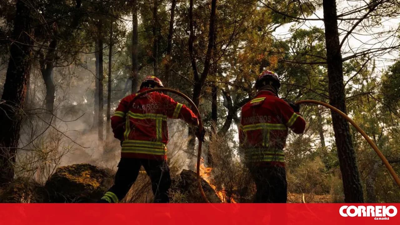 Fire that broke out in Torre de Moncorvo has an active front in Carrazeda de Ansiães