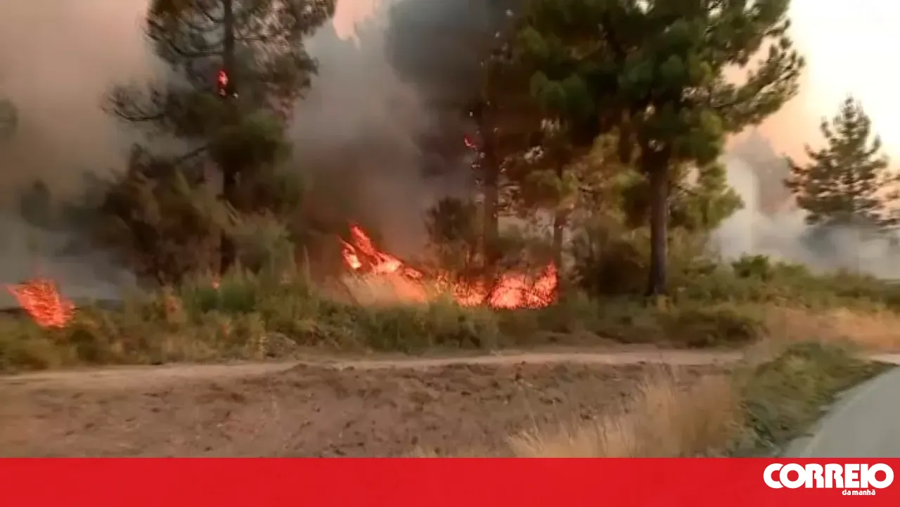 Fire that broke out in Alijó is now under control