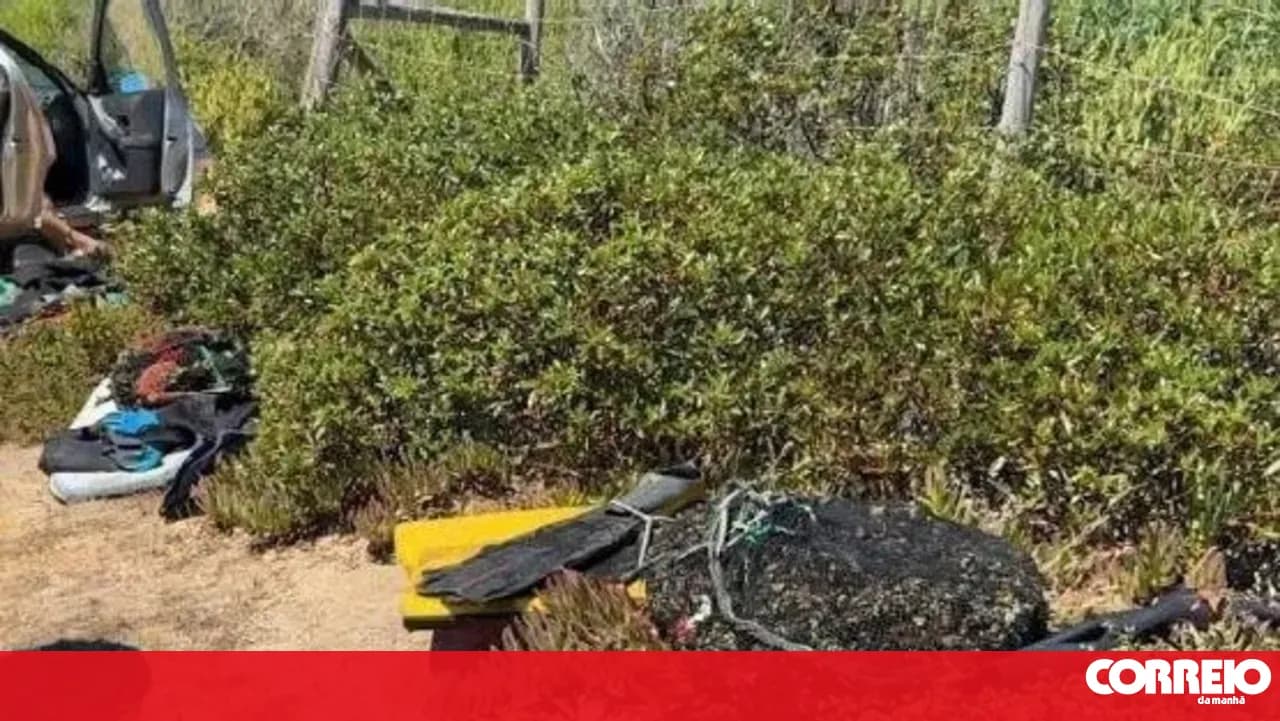 Authorities seize 50 kilograms of goose barnacles at Cabo Sardão in Odemira