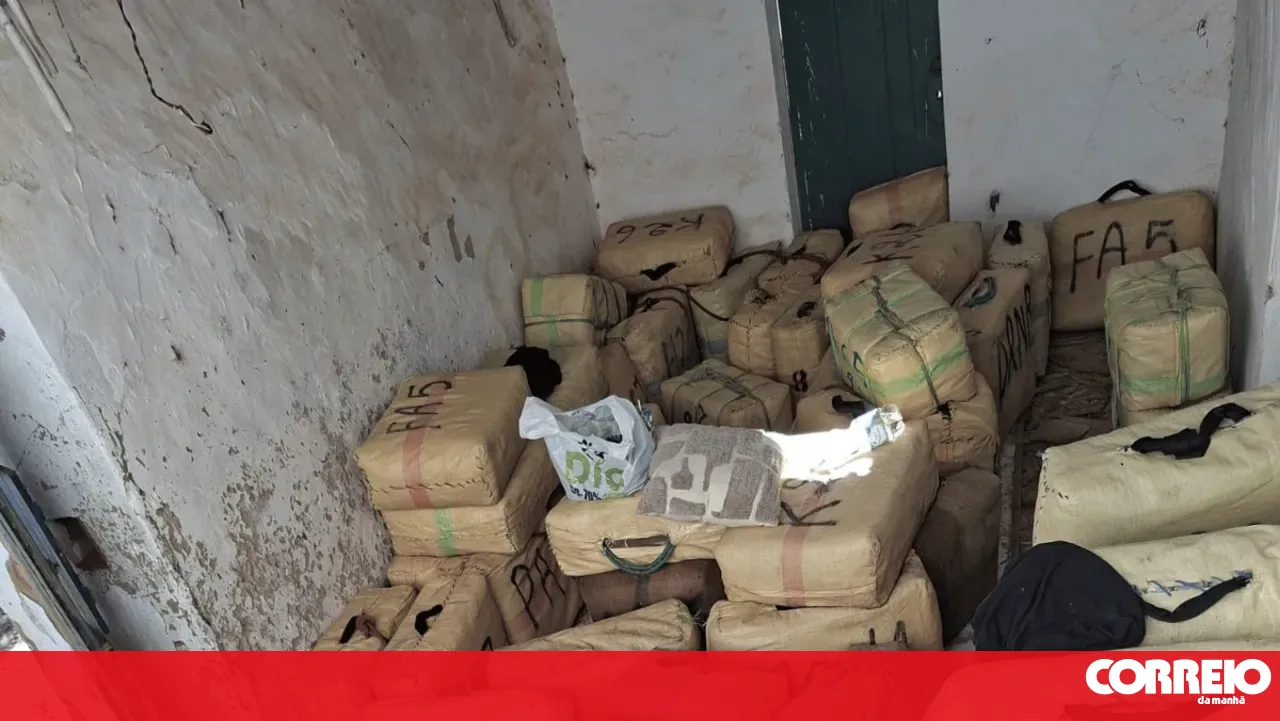 Seven arrested and five tonnes of hashish seized in GNR operation in Castro Marim