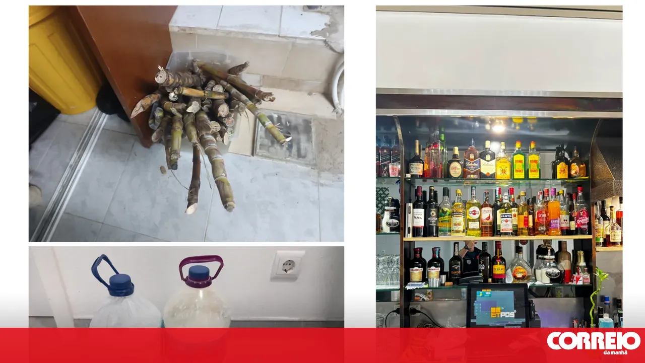 Over 94 kilograms of unfit food seized in two Sintra establishments