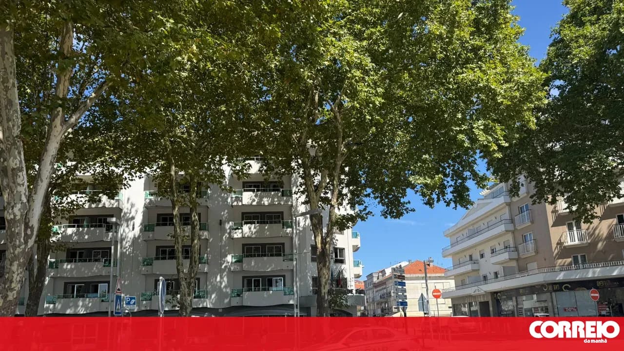 Lit candle at the origin of fire that killed tourist at a hotel in Fátima