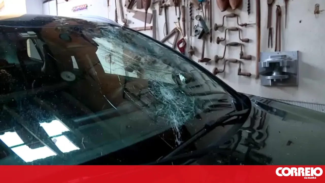 Residents of Albergaria-a-Velha assess damage caused by bad weather