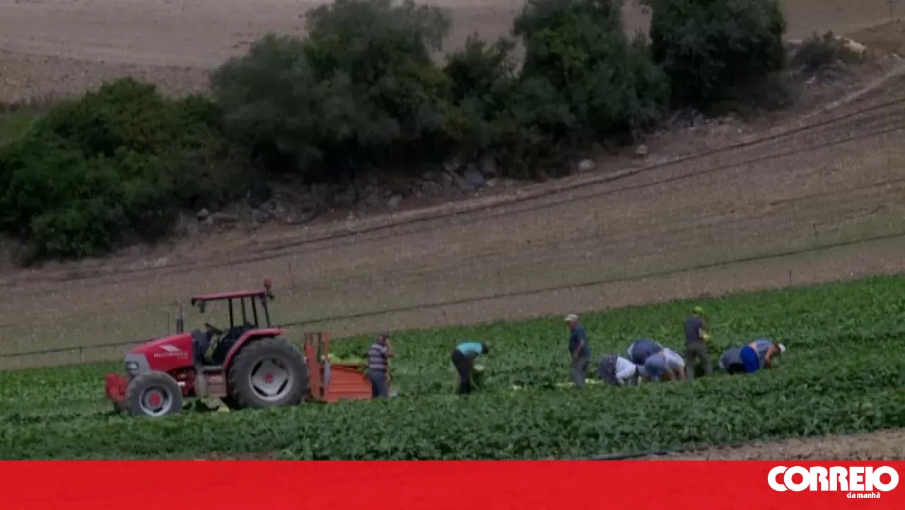 Public Prosecution Service charges two men and a Spanish company with aiding illegal immigration in Elvas