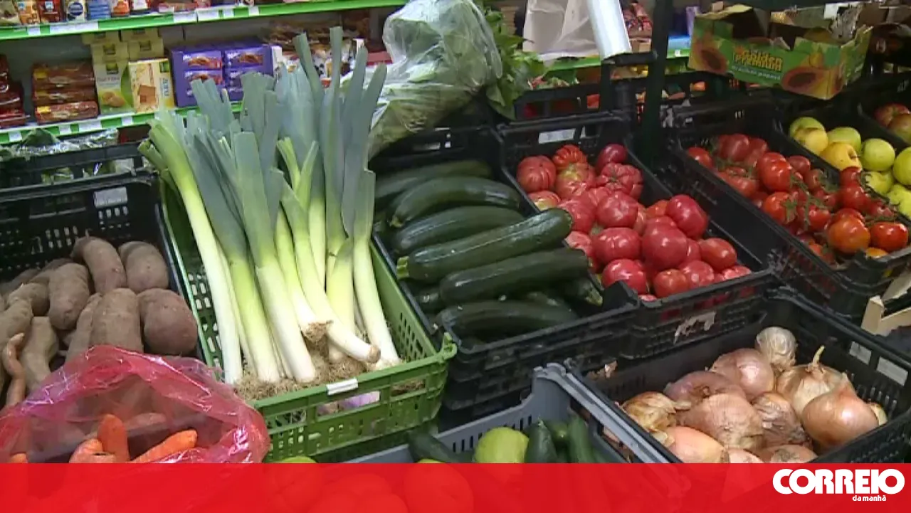 Fruit company from Cantanhede accused of 15 crimes of aiding illegal immigration