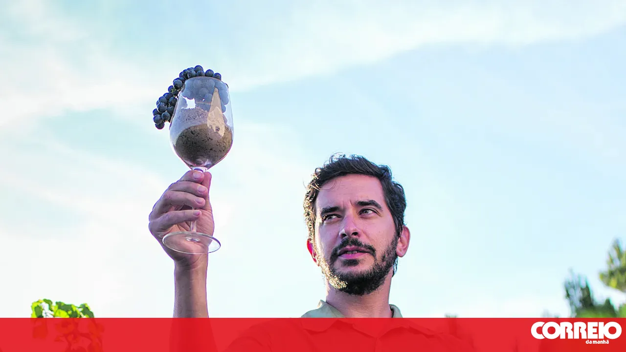António Madeira, the engineer who found his home in wine