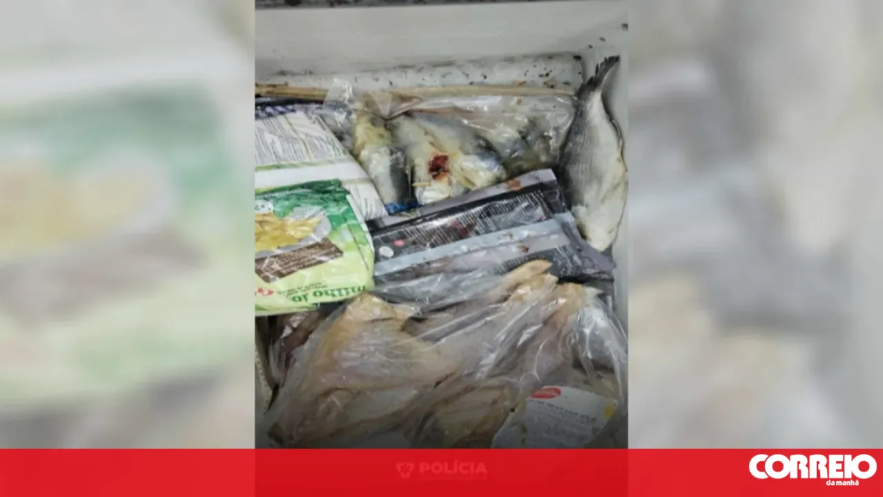 Sintra PSP seizes 20 kilos of spoiled food at a restaurant