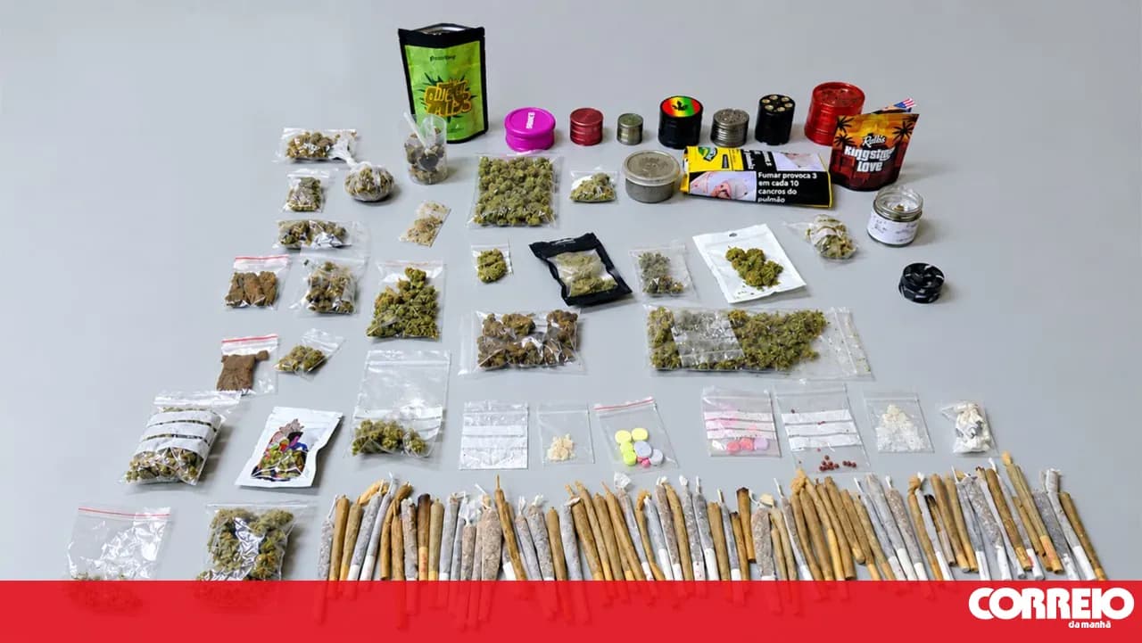 69,000 doses of drugs seized at electronic music festival