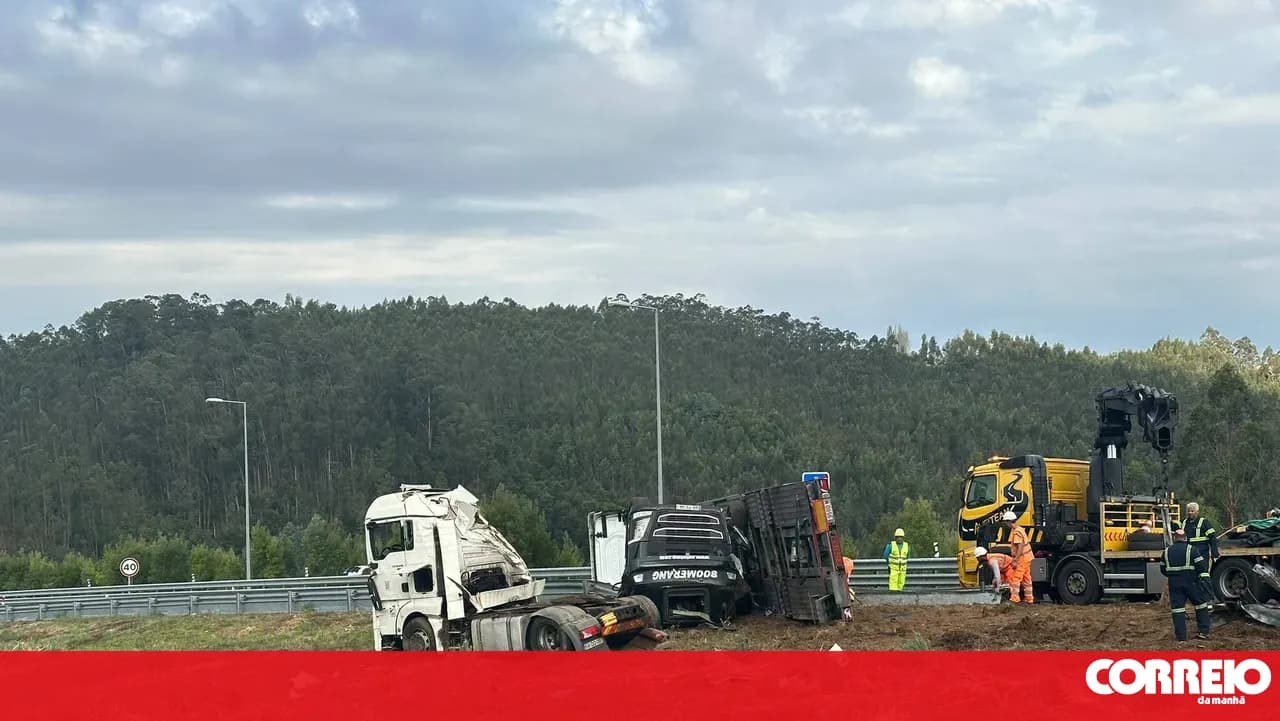 A32 closed in the North-South direction in Oliveira de Azeméis following a truck crash