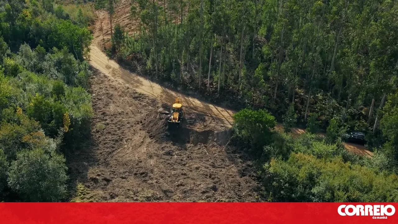 Construction of the high-speed rail line 'begins' today