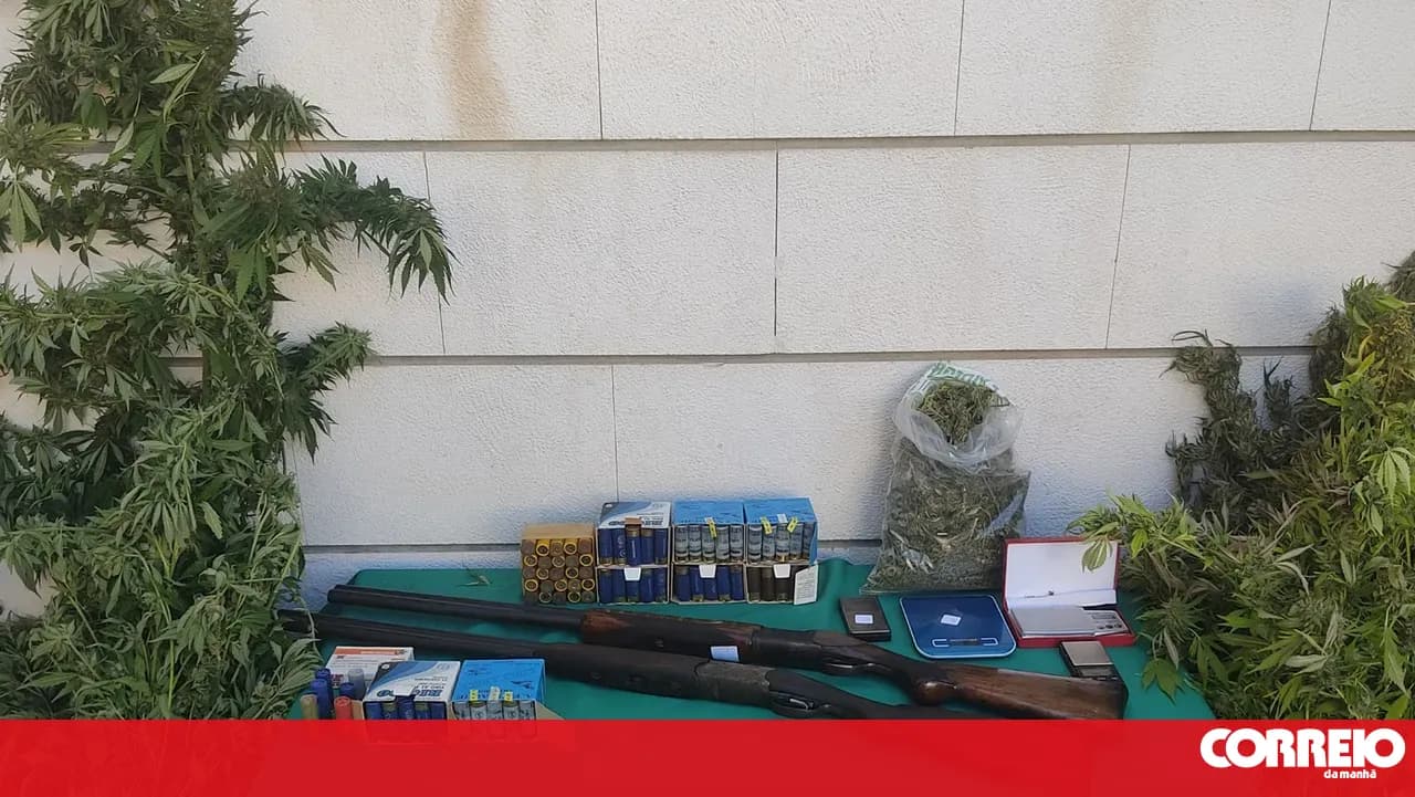 Father, daughter, and her boyfriend caught by GNR with drugs, weapons, and ammunition