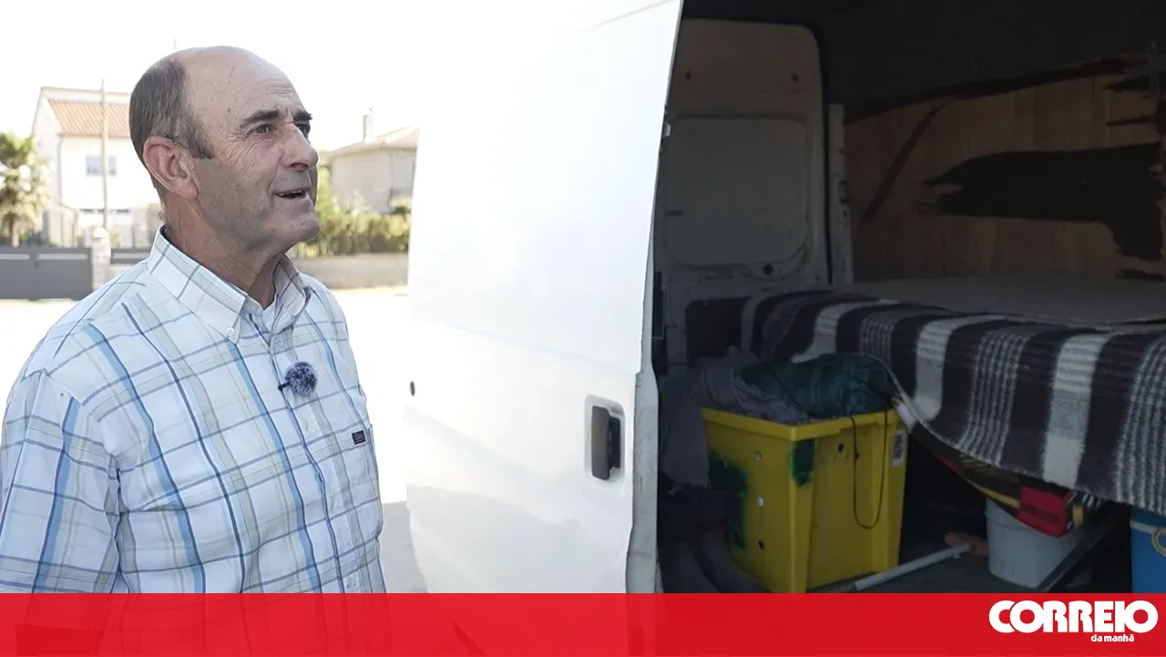 "I sleep in the van 50 metres from my flock": José Carvalho tries to protect animals from wolf attacks