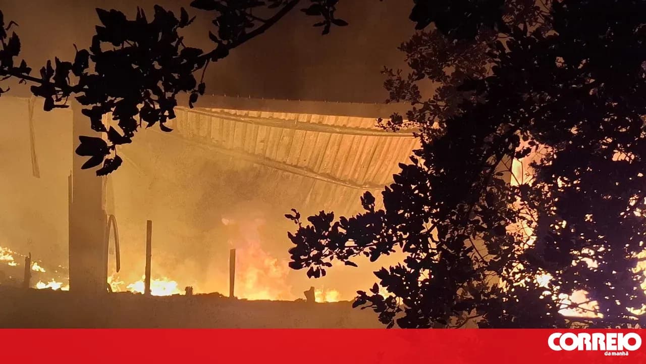 Fire destroys waste management company in Coimbra industrial zone