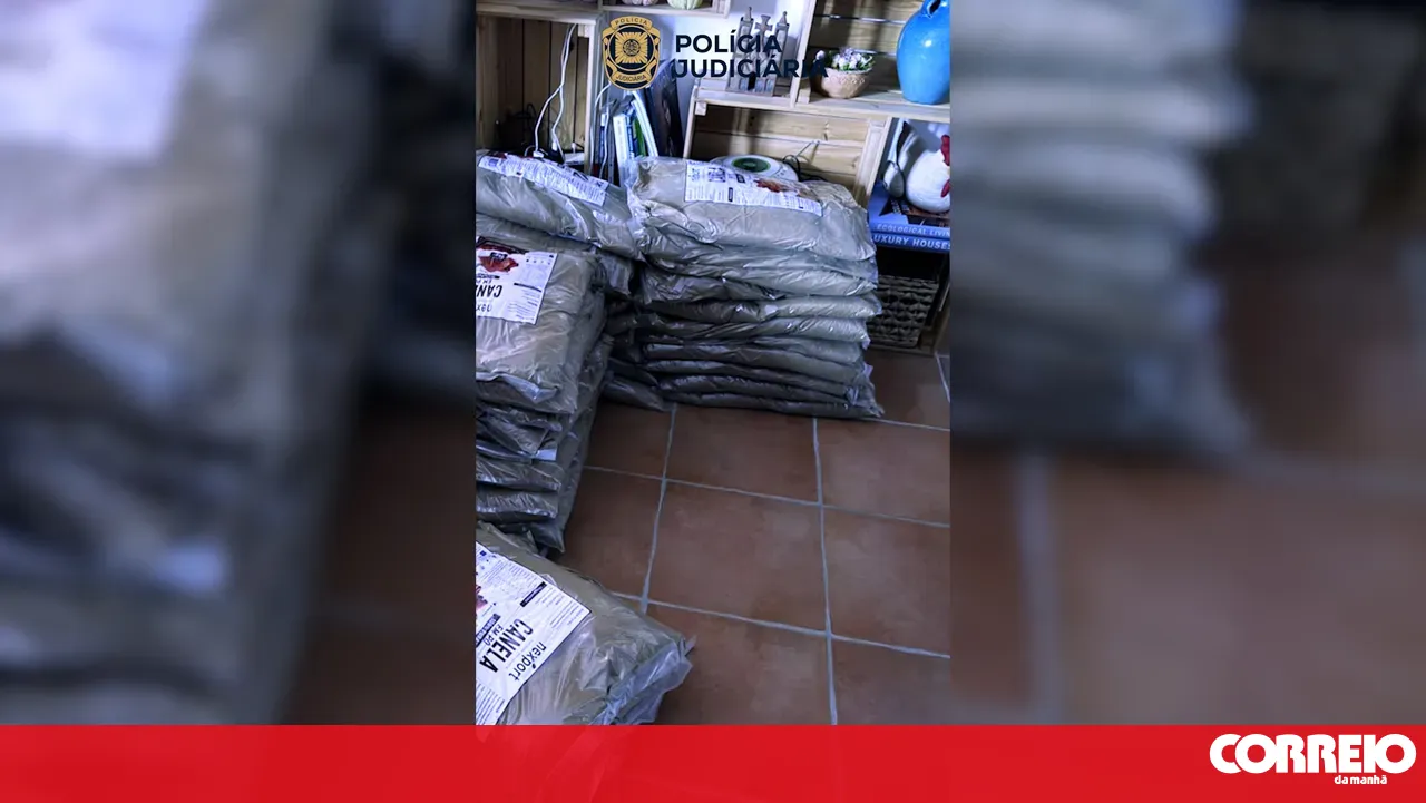 Operation Spice: villa in Santiago do Cacém served as a laboratory to extract cocaine mixed with cinnamon