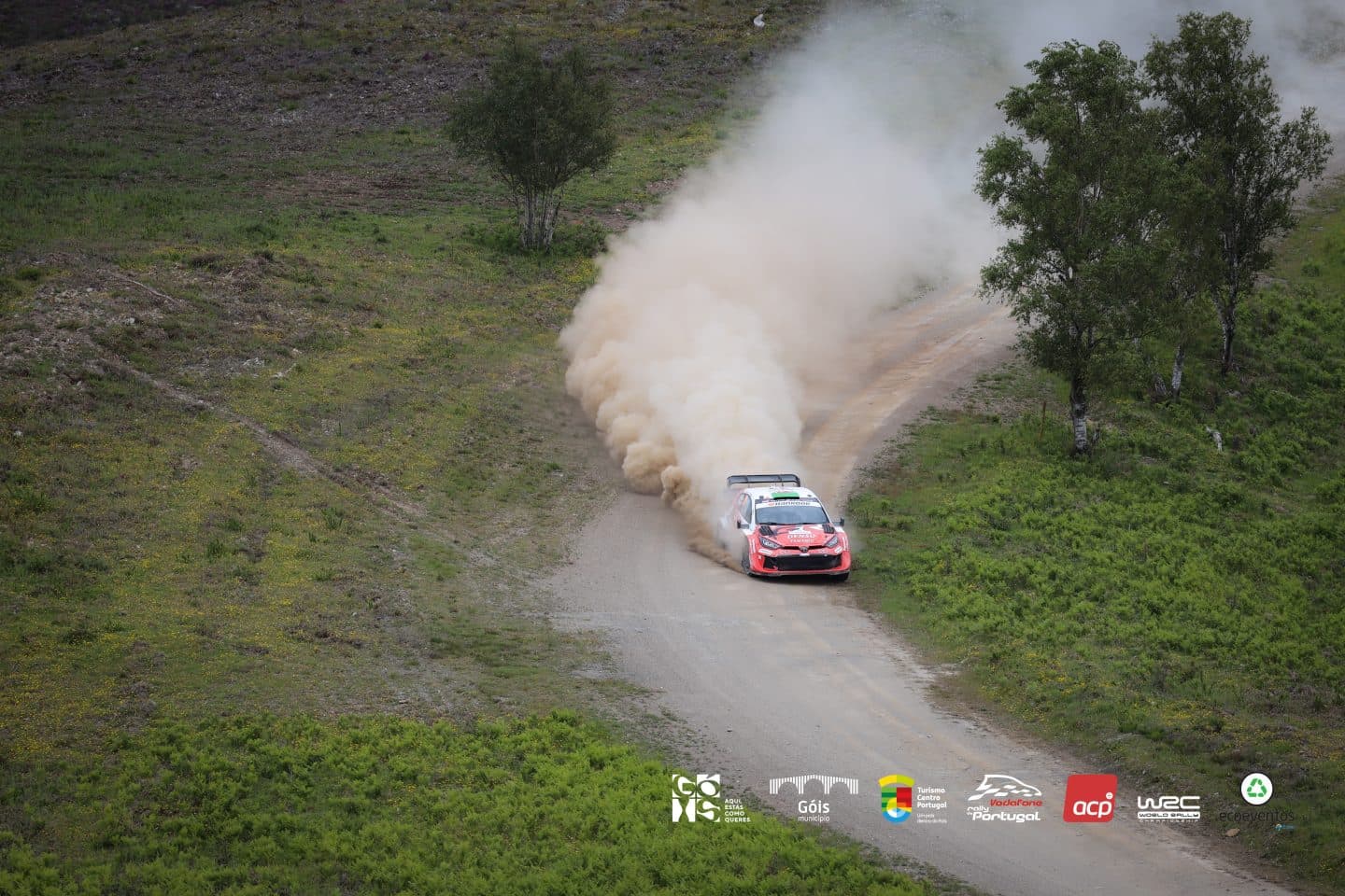 Góis shone at the 2026 Rally de Portugal