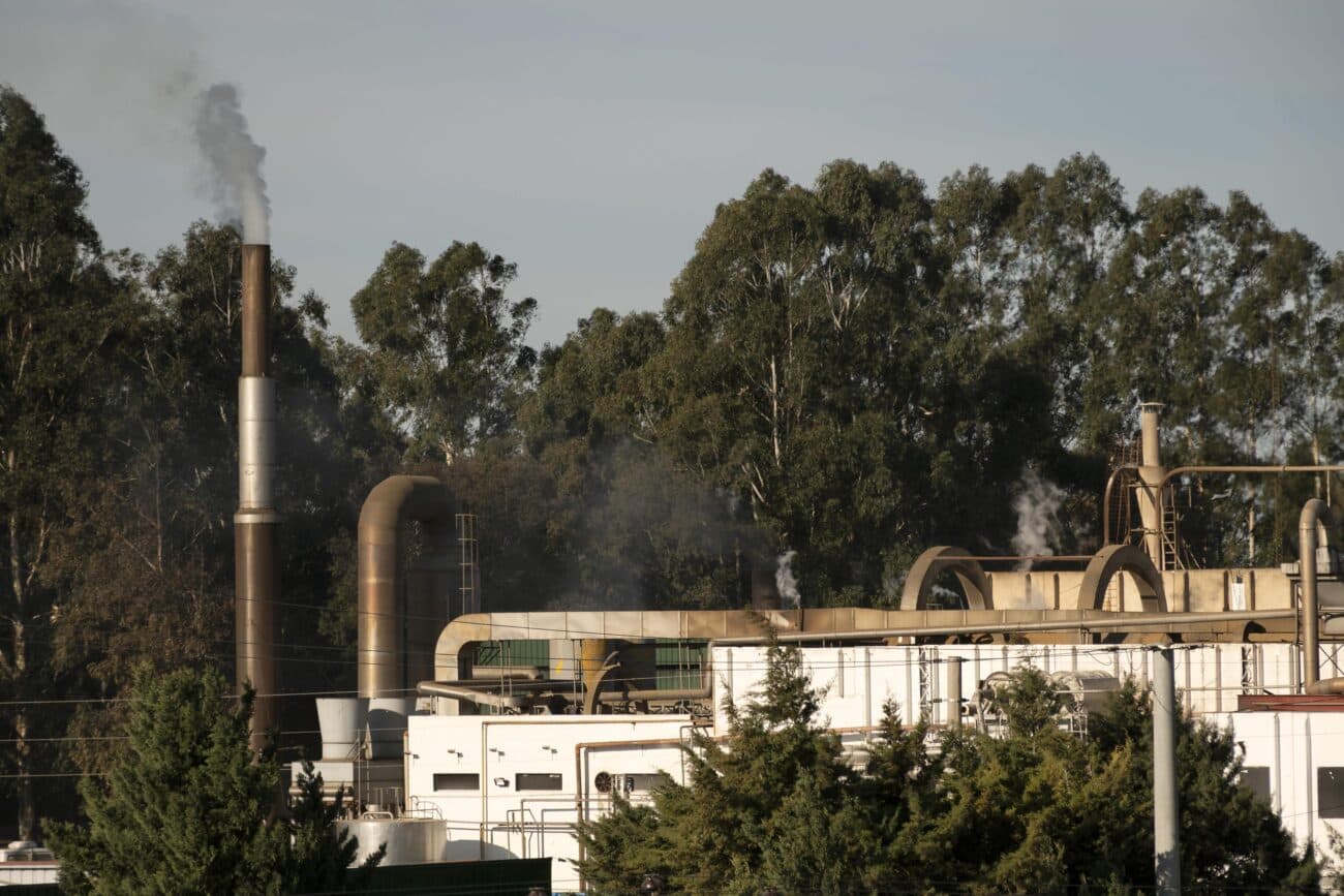 Portugal includes carbon emissions in public procurement criteria