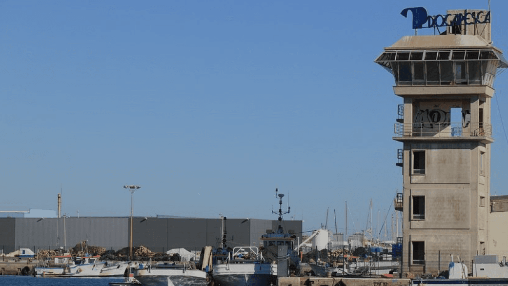 PSD/Matosinhos warns of degradation at Docapesca