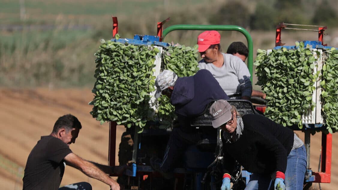 20 million support reaches nearly 60,000 farmers this week