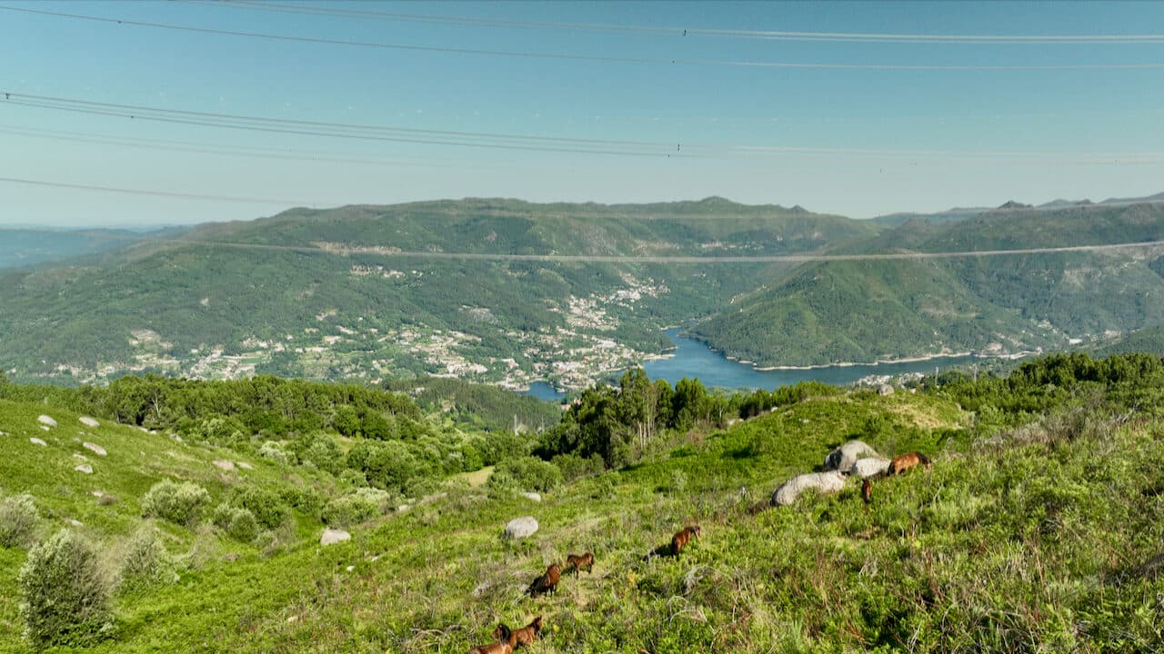 Government rejects revision of the Municipal Master Plan for Vieira do Minho