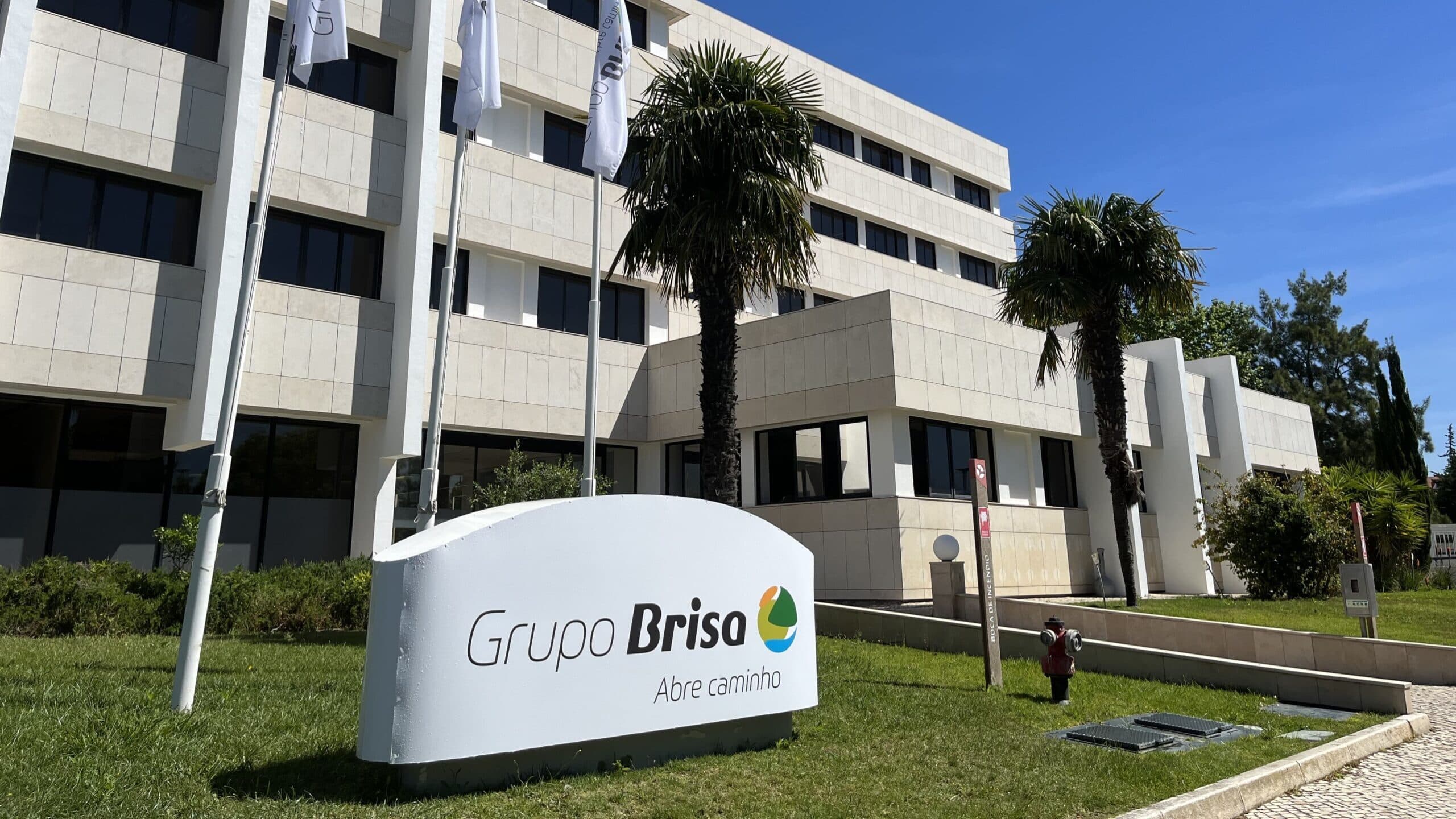 Brisa reports revenue growth despite significant profit decline