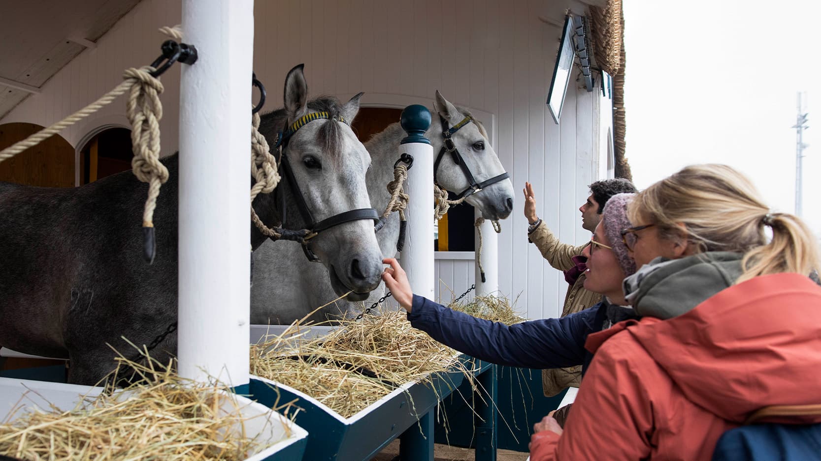 Golegã Fair is now Intangible Cultural Heritage