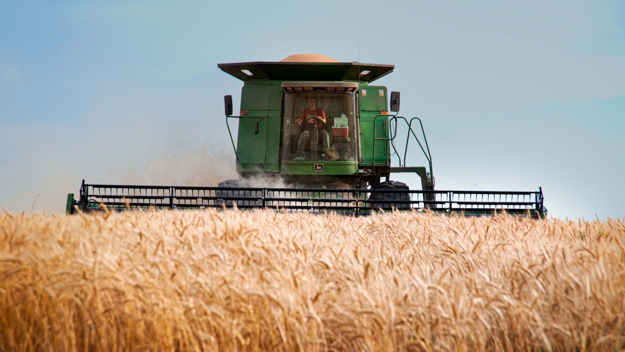 Portugal produces only 17% of the cereals it consumes