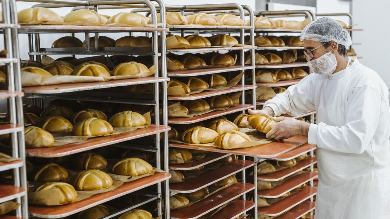 Two Celeste Group factories have purchase offers, union reports