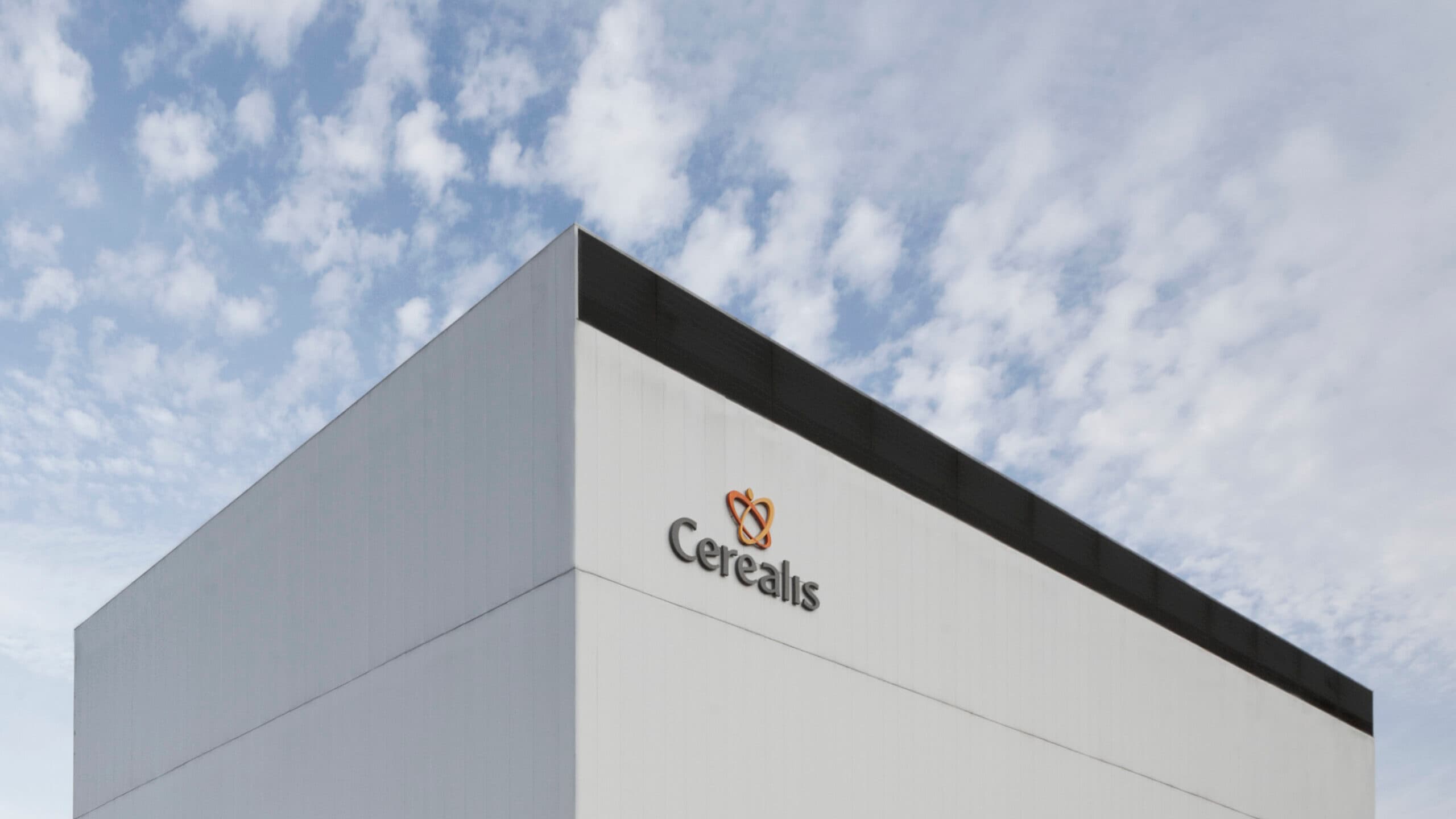 Cerealis interested in the pasta business of Spain's Gallo