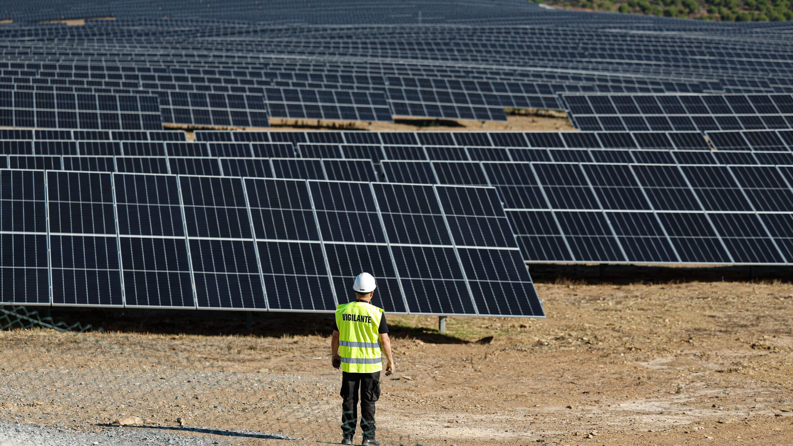 Owner of the largest Portuguese solar plant expects a decision in September to 'make the project profitable'