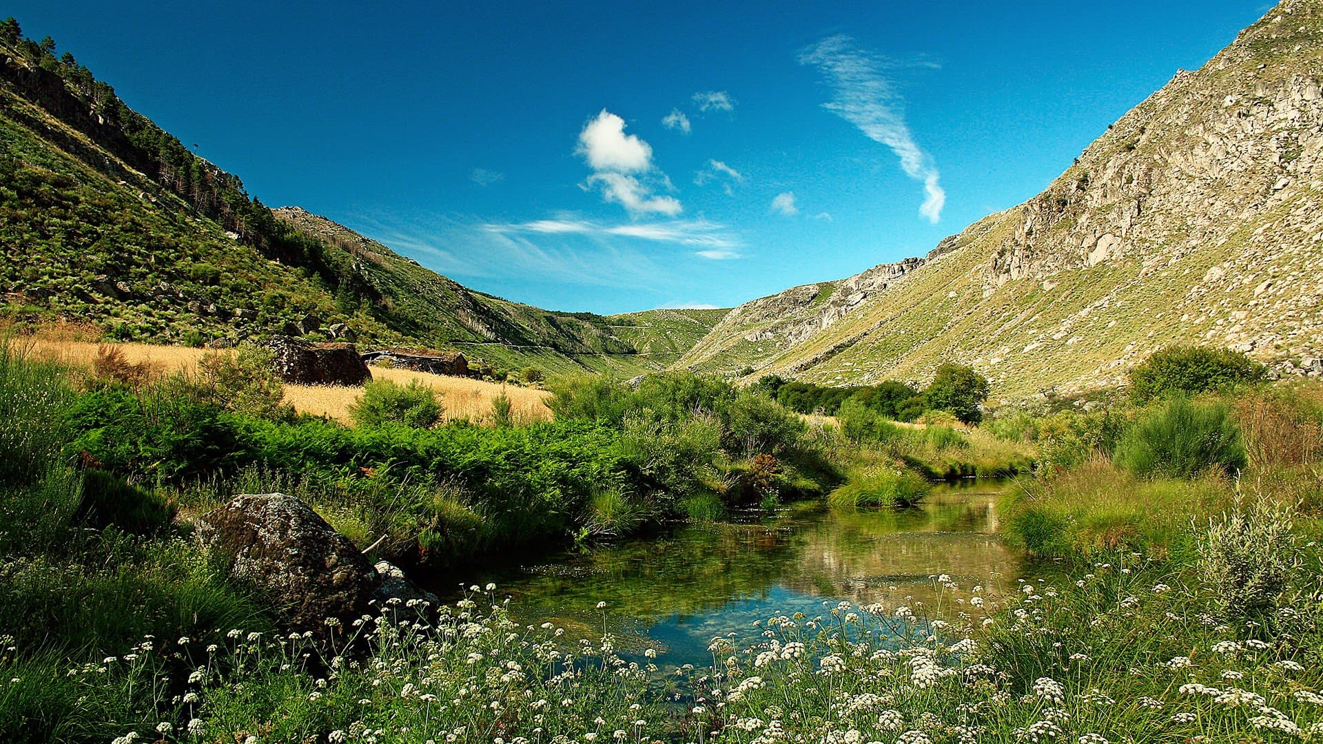 Cycle tourism in Serra da Estrela, Côa viewpoints and Chanfana. Discover the 12 projects funded by Turismo de Portugal